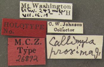 Media type: image;   Entomology 26892 Aspect: labels